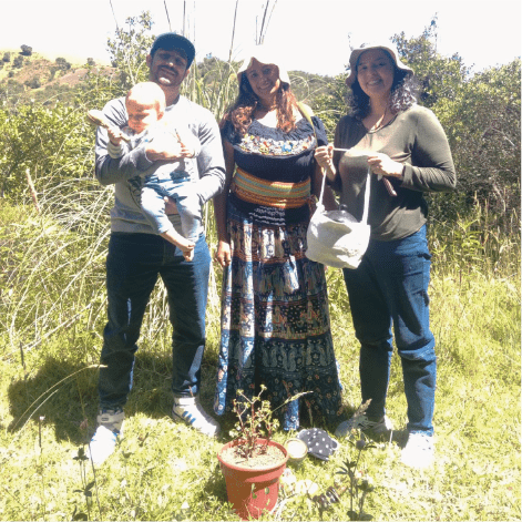 galeria doula7